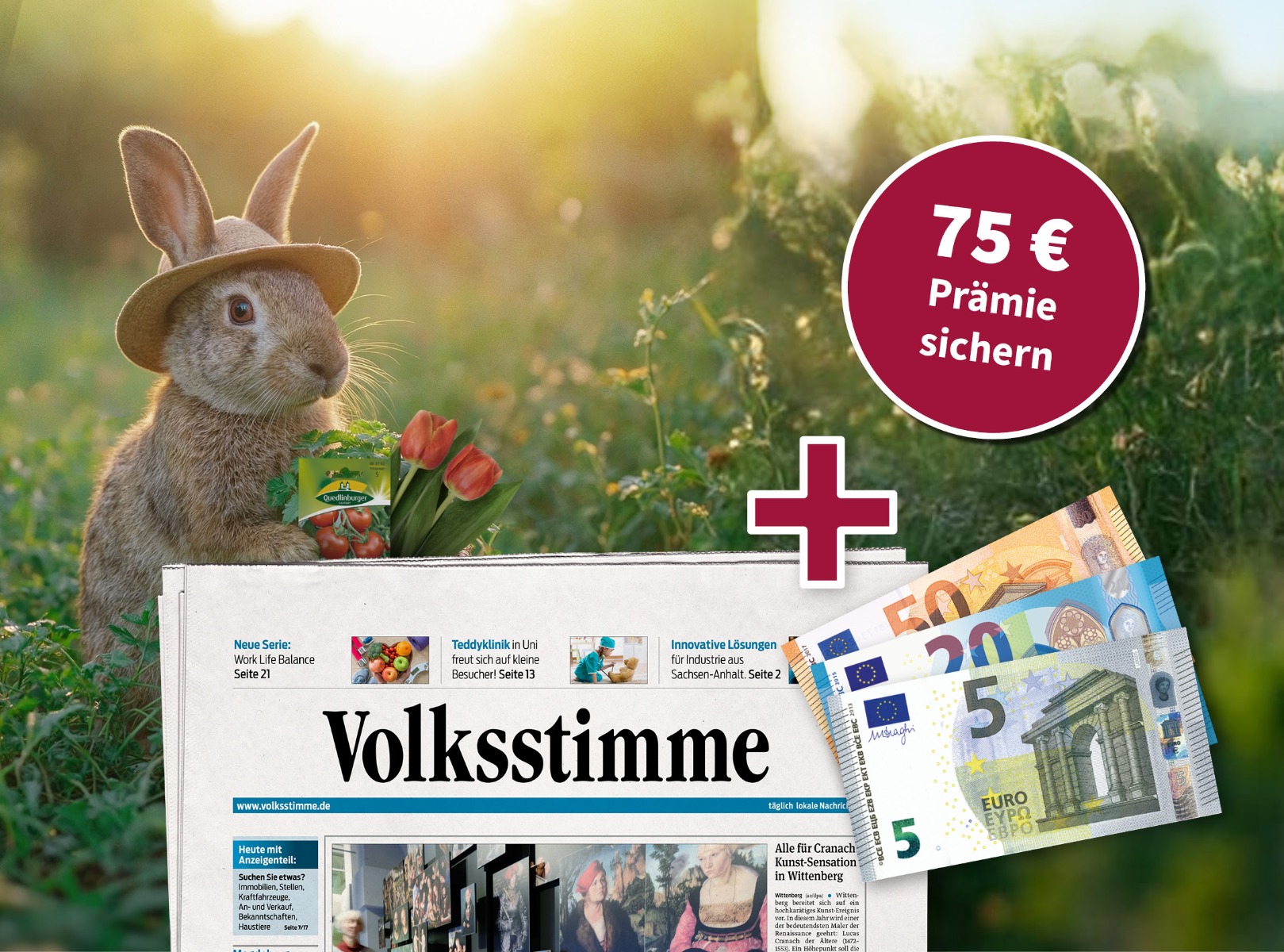 bild_Topseller