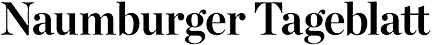 Logo NT
